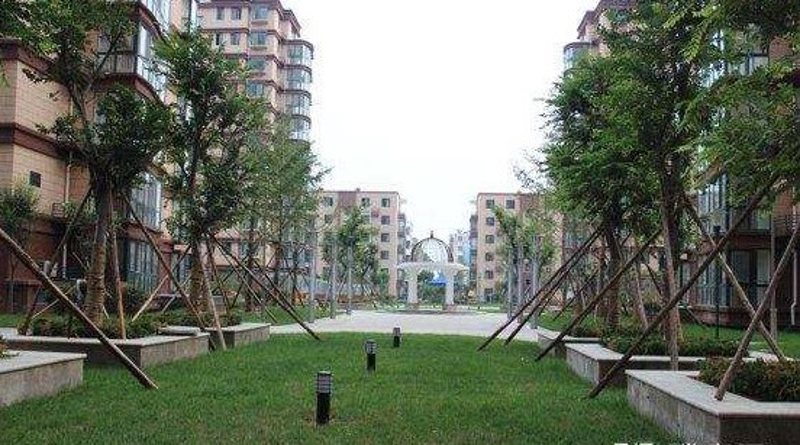 忠真新天地